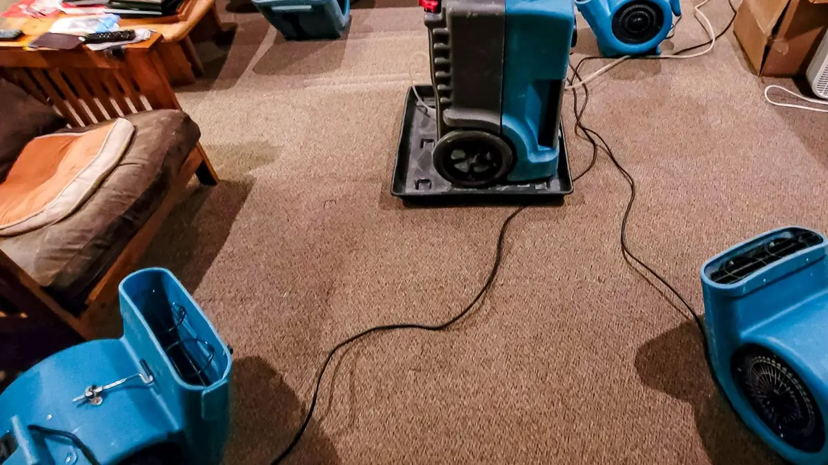 Blue air movers running on carpet in a living room