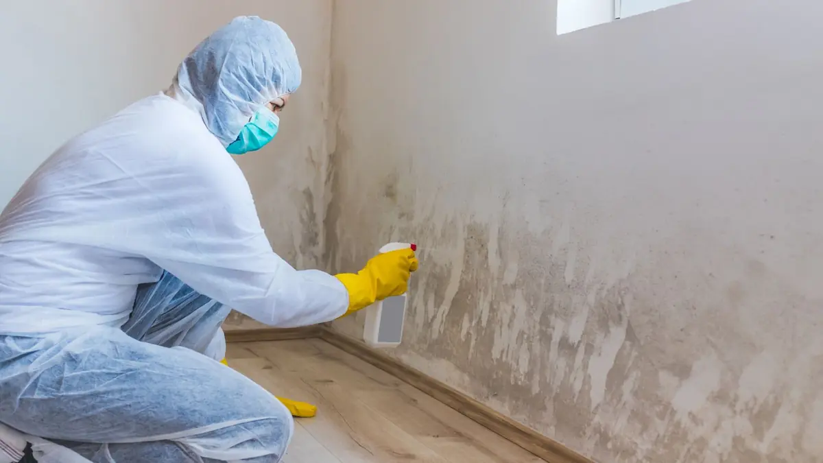 Technician in a hair net, mask and gloves cleaning mold along a baseboard