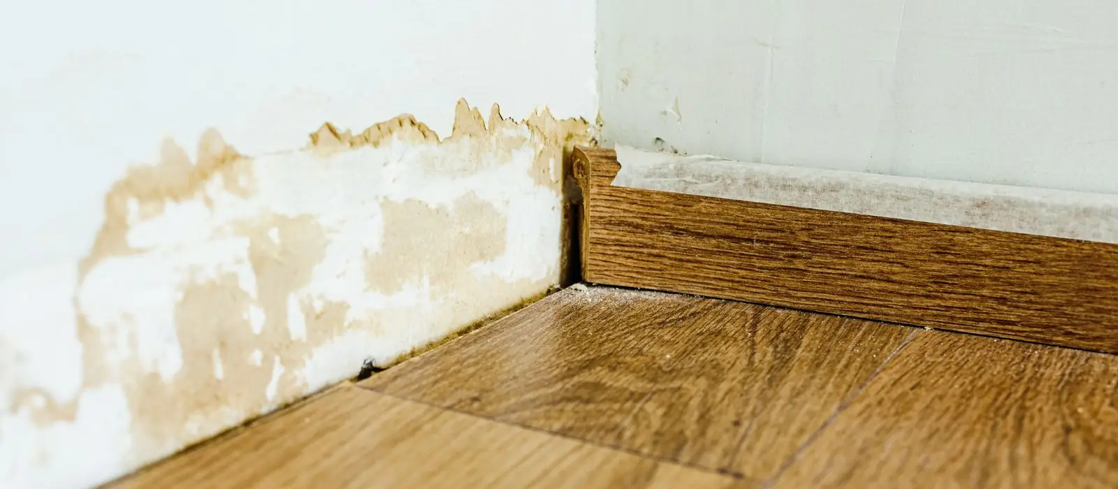 Technician using a carpet extraction wand on a wet floor